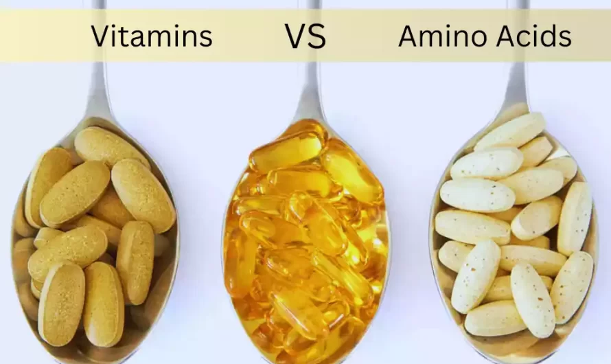 Vitamins and Amino Acids the top 12 difference
