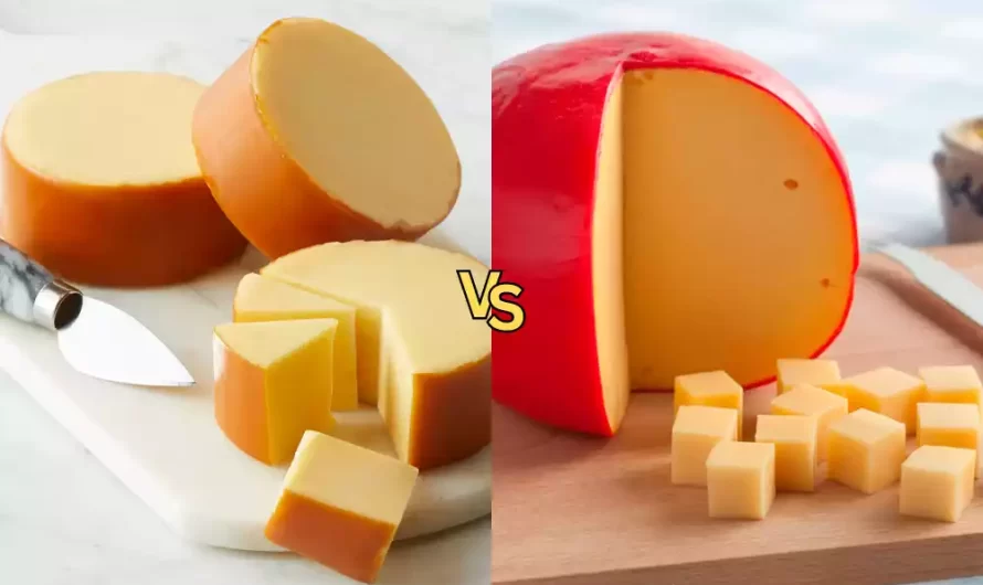 Difference Between Gouda Cheese and Edam Cheese