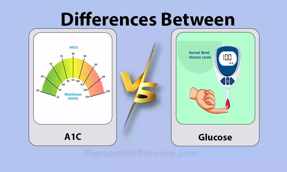 Difference Between A1C and Glucose