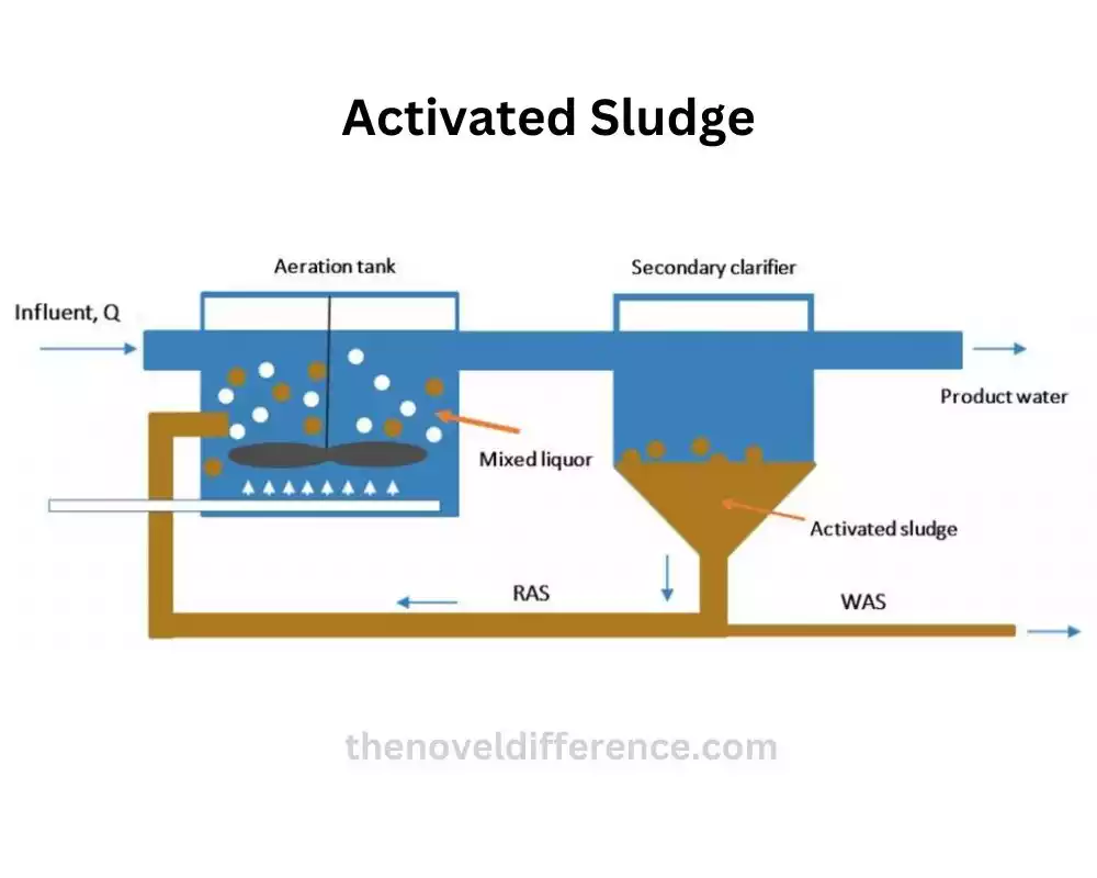 Activated Sludge