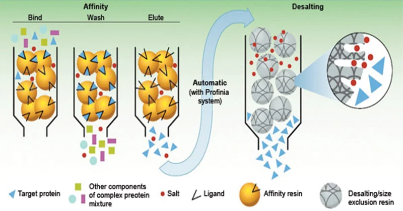 Affinity Chromatography