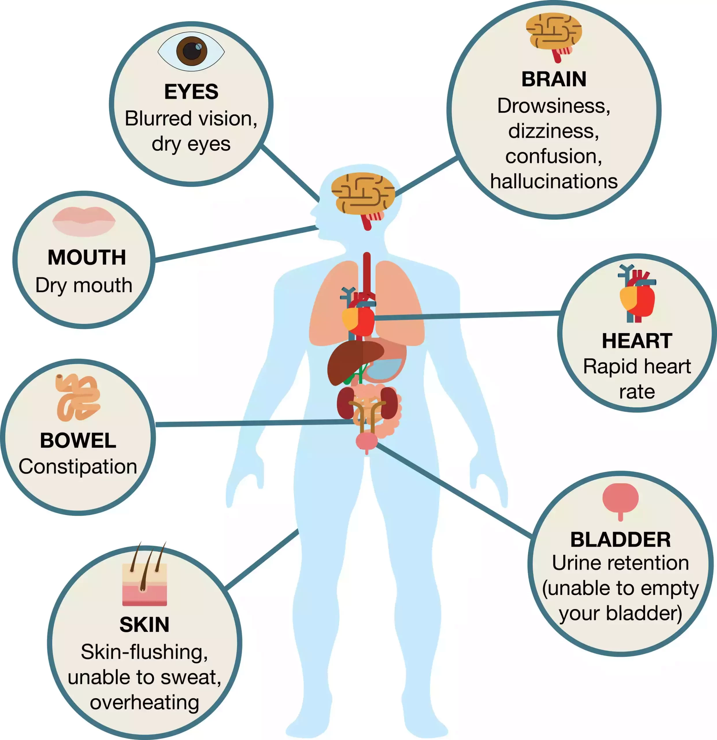 Anticholinergic