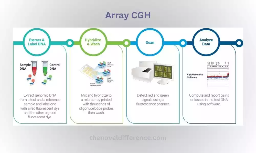 Array CGH