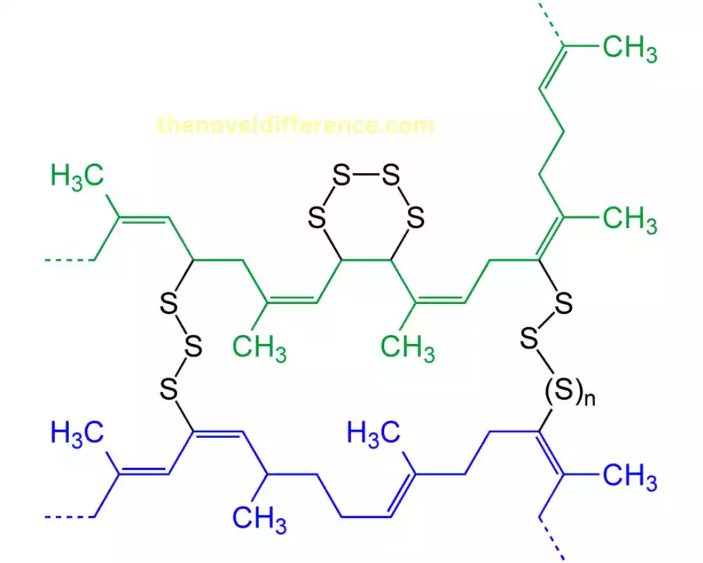 Branched and Crosslinked Polymers