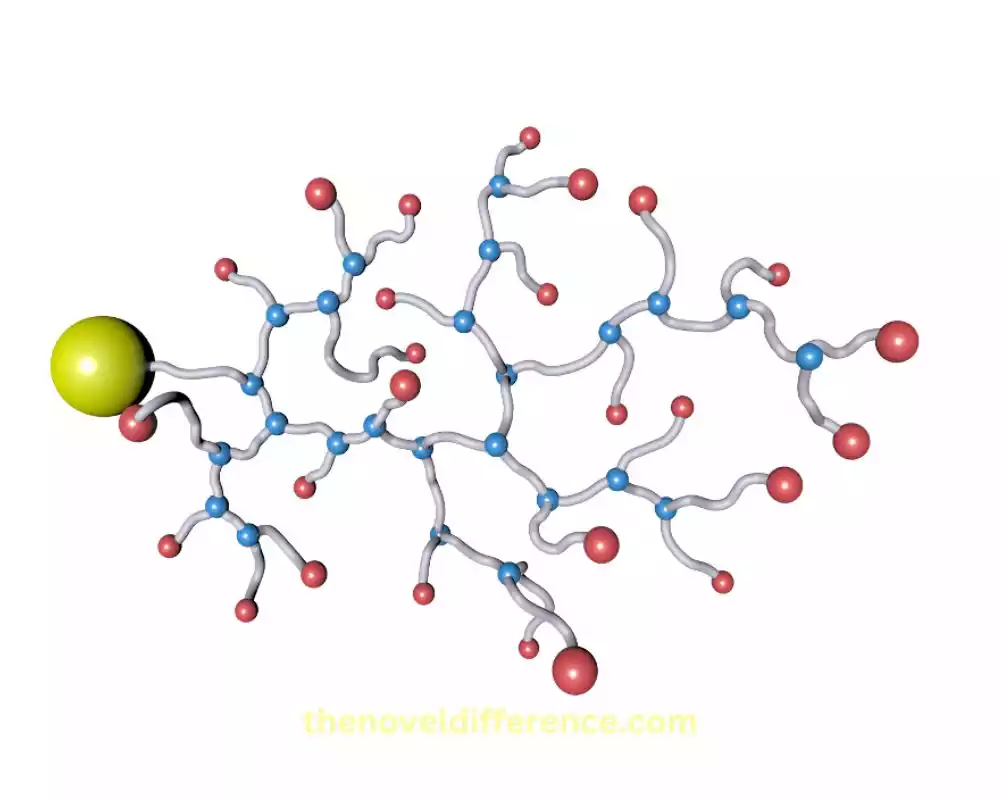 Branched and Crosslinked Polymers