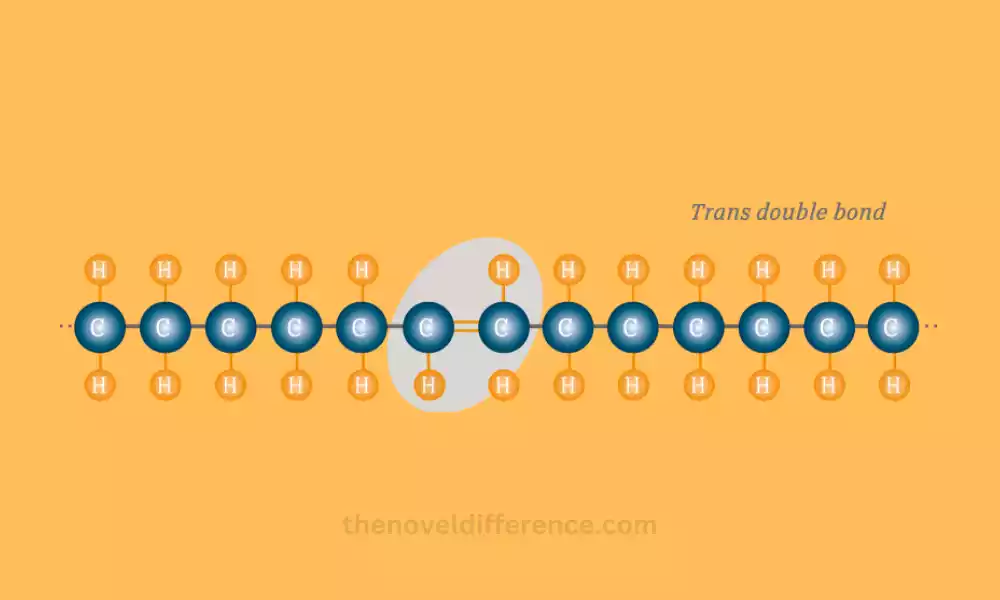 Cis Trans Acids