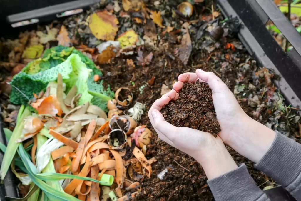 Compost