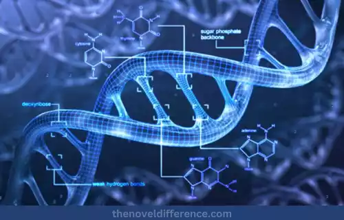 DNA Methylation