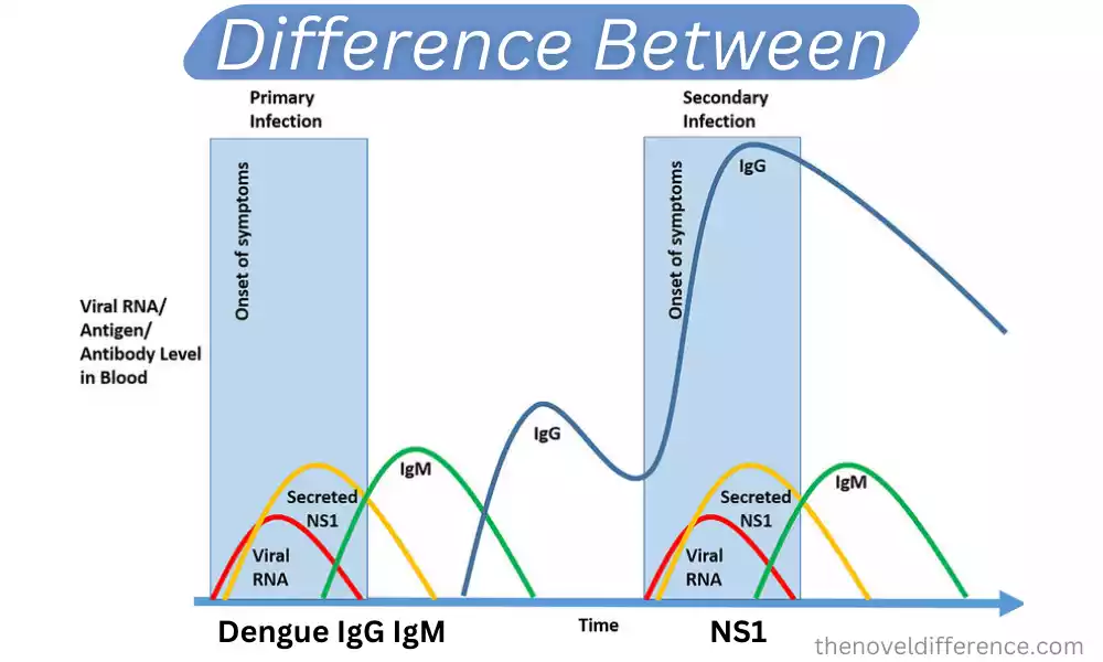 Difference Between Dengue IgG IgM and NS1