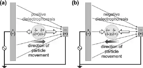 Dielectrophoresis