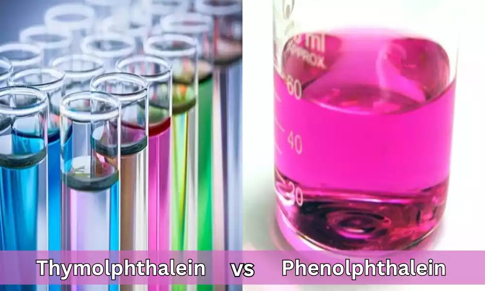 What Is The Difference Between Thymolphthalein and Phenolphthalein