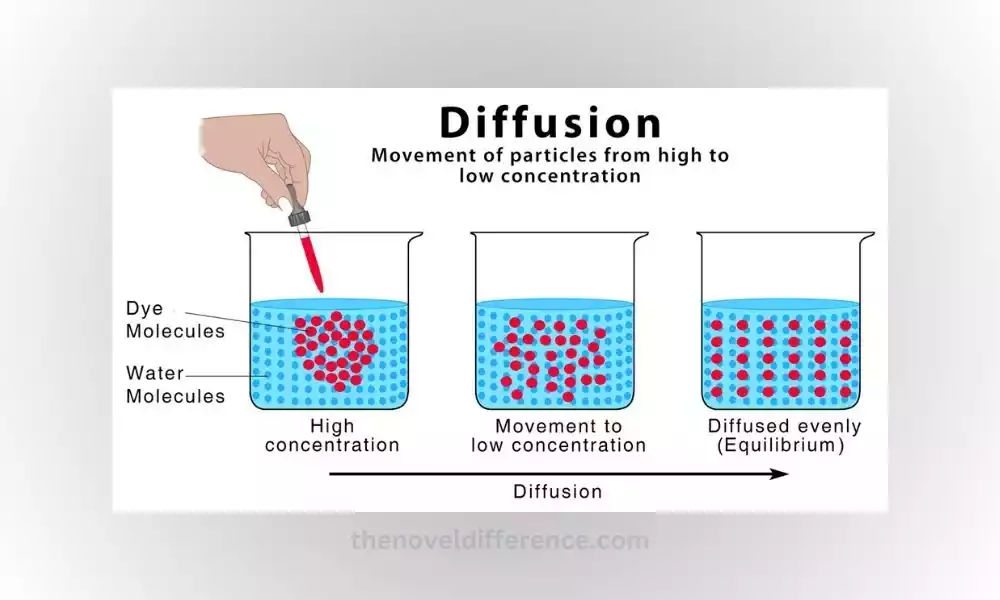 Diffusion