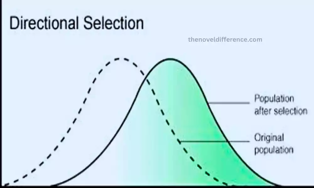 Directional Selection