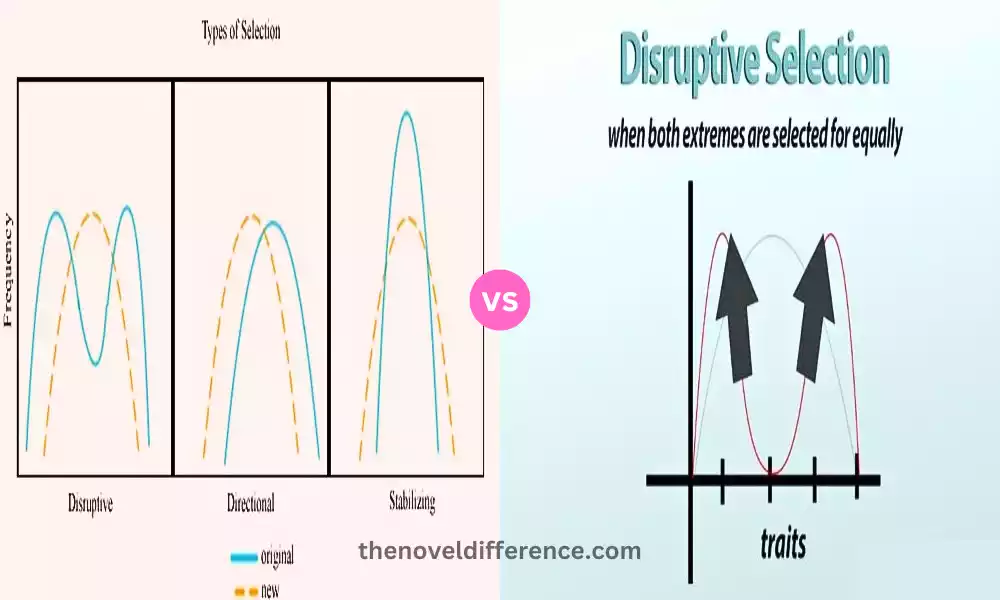 Difference Between Directional and Disruptive Selection