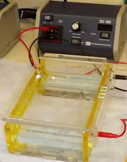 Electrophoresis