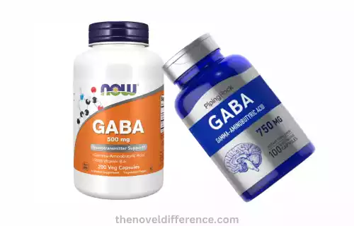 GABA (Gamma-Aminobutyric Acid)