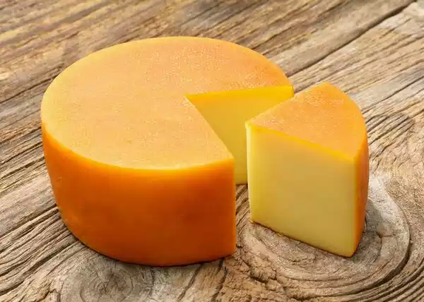 Gouda Cheese