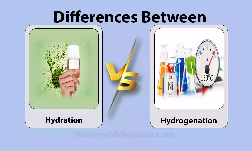 Difference Between Hydration and Hydrogenation