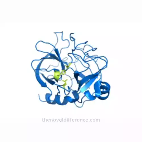 Hydrolase and Transferase