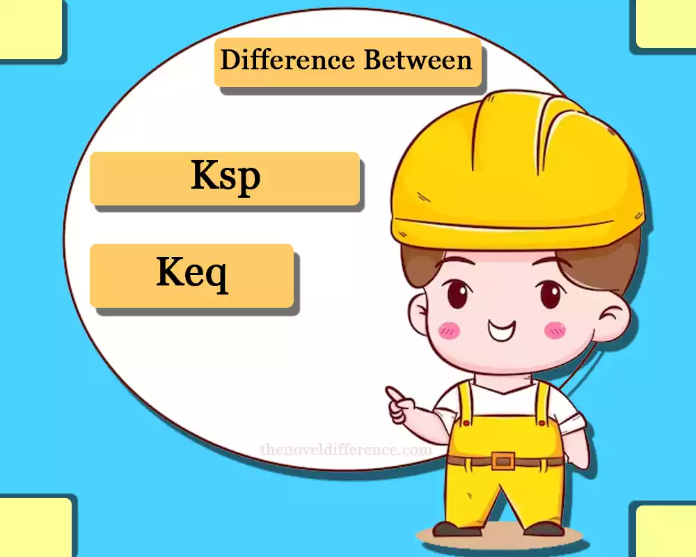 Difference Between Ksp and Keq