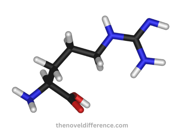 L-Arginine