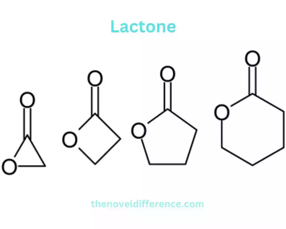 Lactone