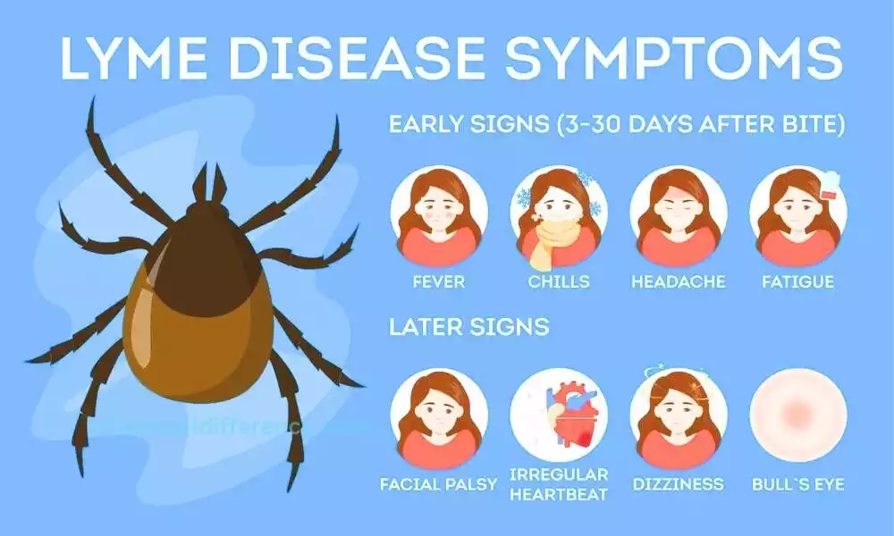 Lyme Disease