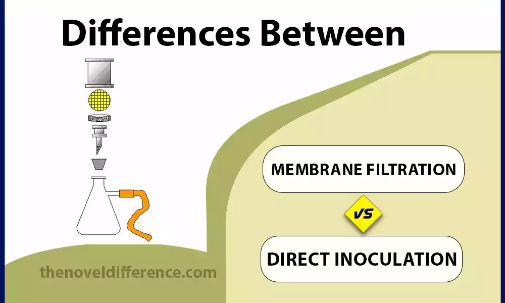 Difference Between Membrane Filtration and Direct Inoculation