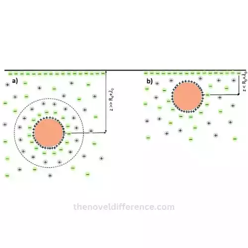 Micelles and Colloidal Particles