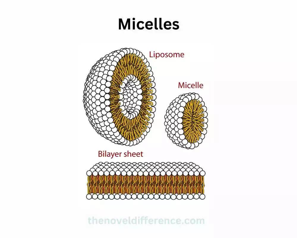 Micelles