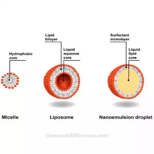 Microemulsion and Nanoemulsion