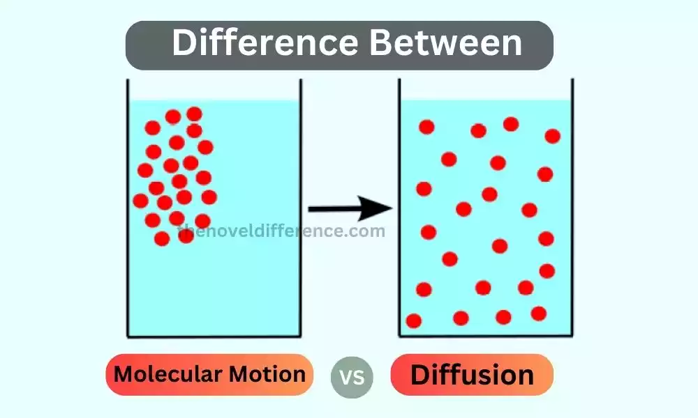 Difference Between Molecular Motion and Diffusion