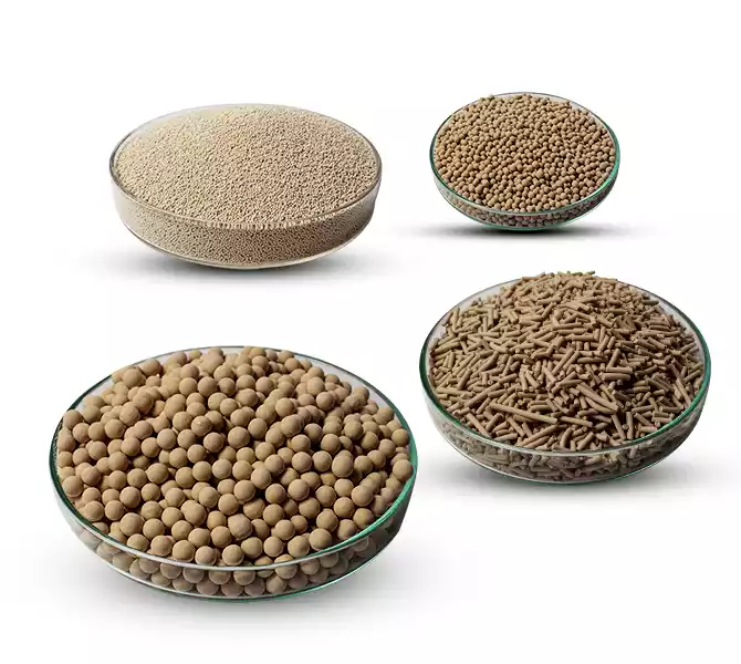 Molecular Sieve