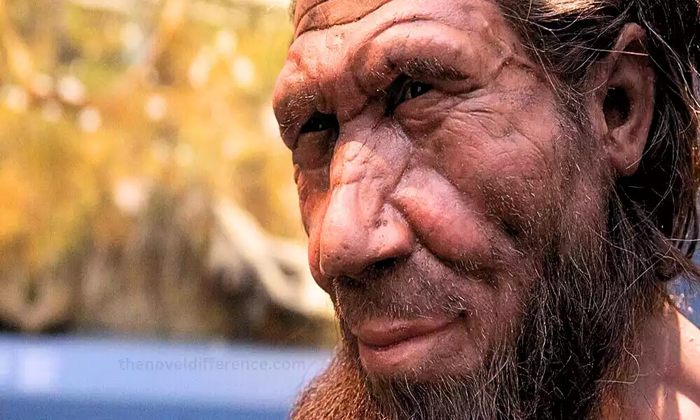 Neanderthal