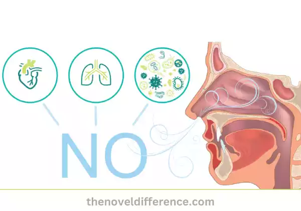 Nitric Oxide