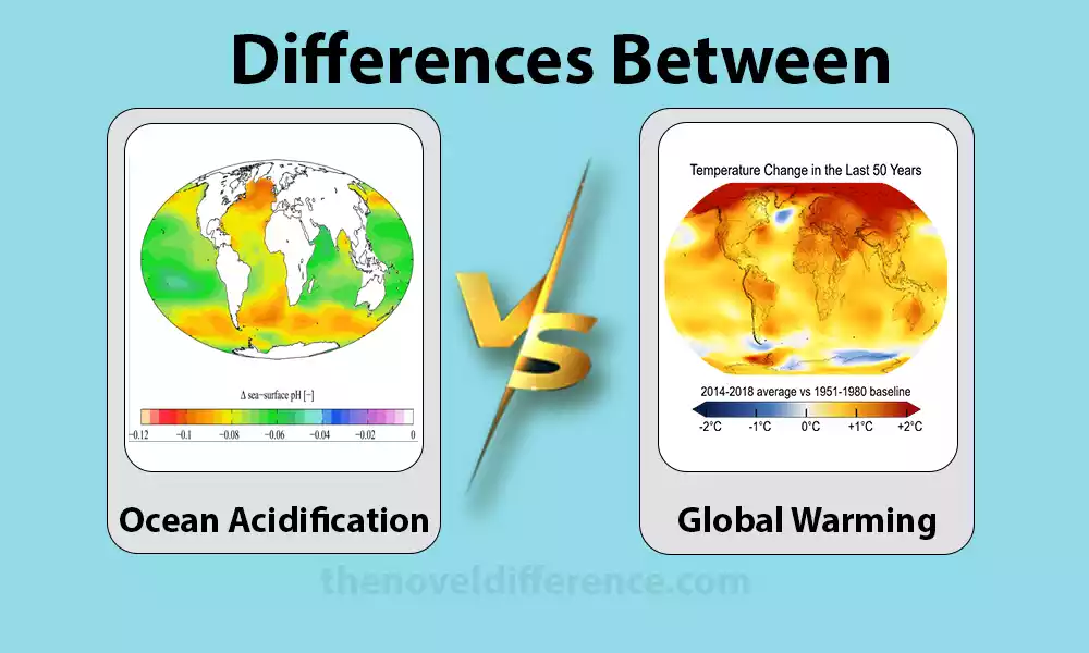 Difference Between Ocean Acidification and Global Warming