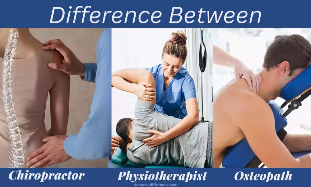 Difference Between Osteopath and Chiropractor, and Physiotherapist