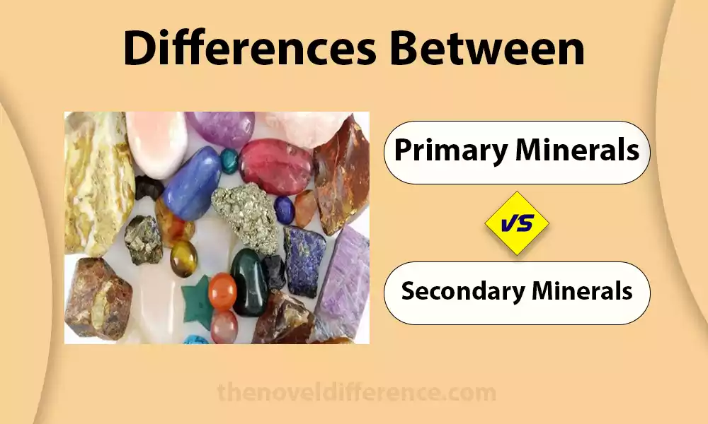 Difference Between Primary and Secondary Minerals