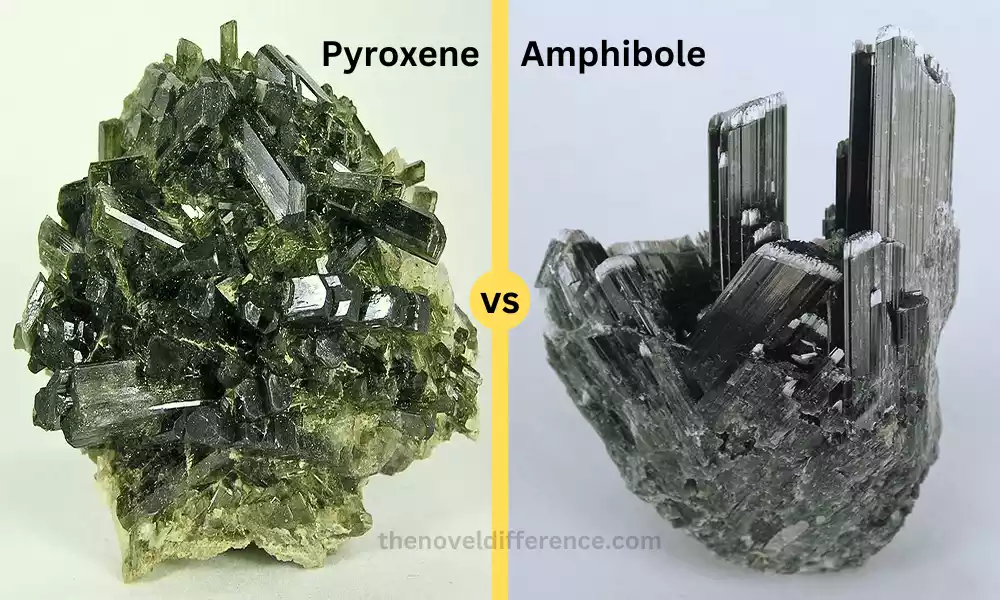 Difference Between Pyroxene and Amphibole