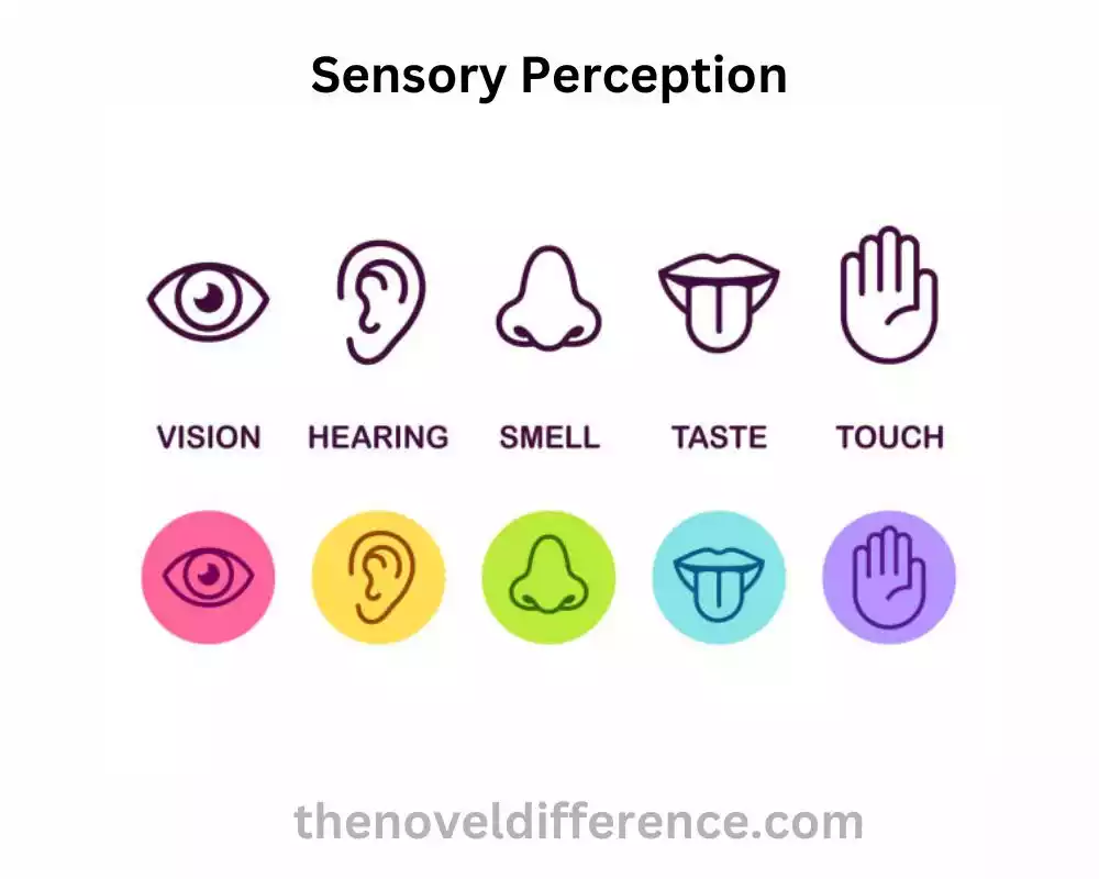 Sensory Perception