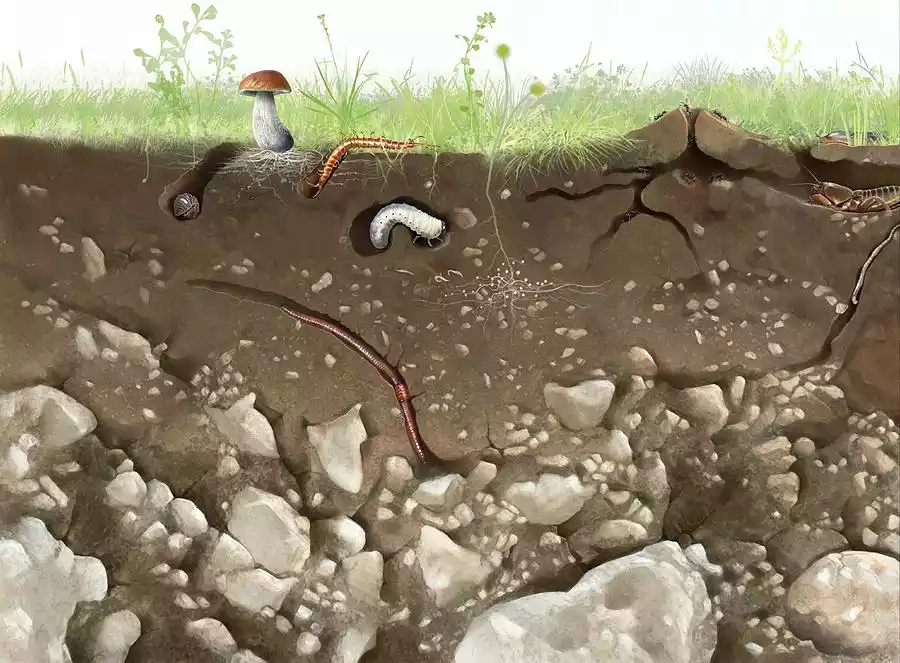 Soil Structure