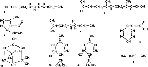 Structural Formula