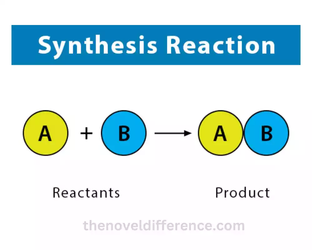 Synthesis Reactions