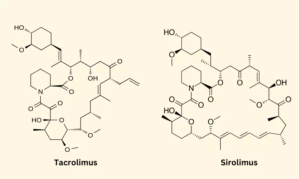 Between Tacrolimus and Sirolimus top 16 difference