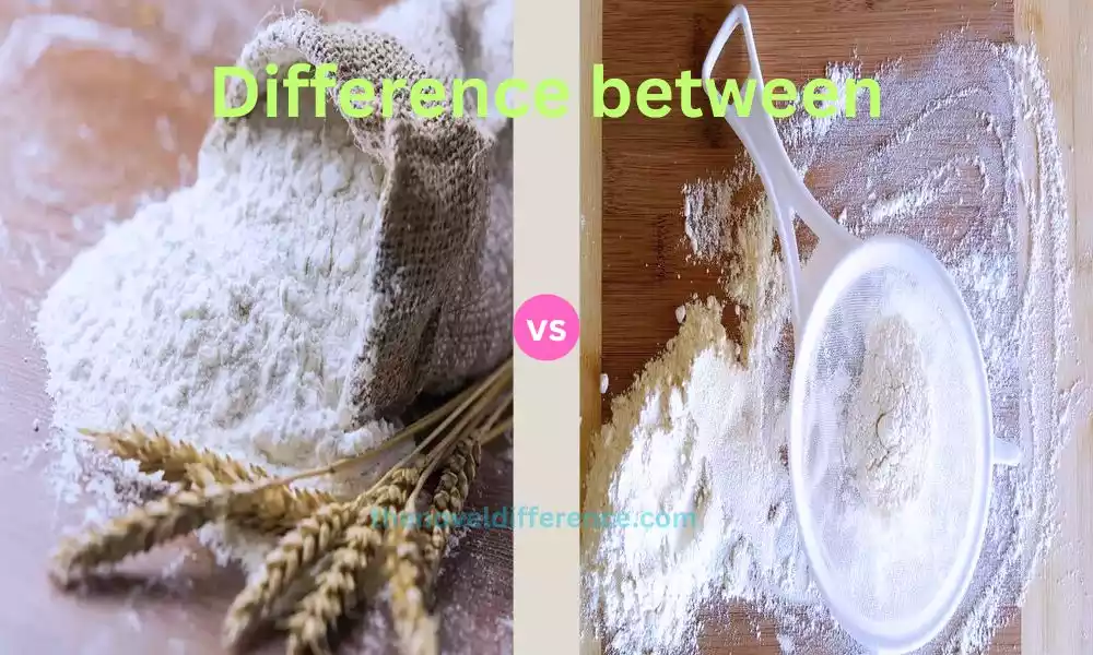 Difference Between Whole Wheat Flour and All Purpose Flour