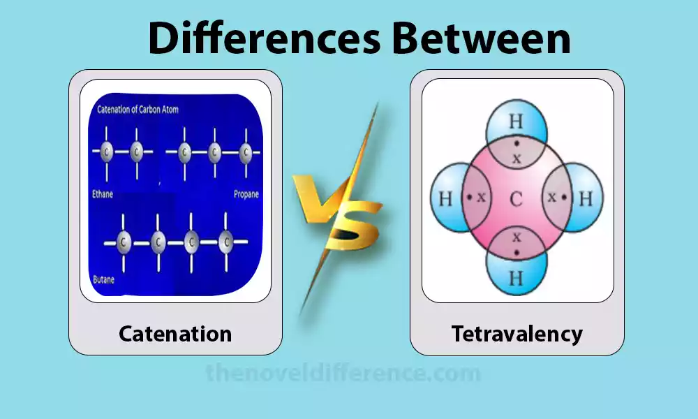 Difference Between Catenation and Tetravalency