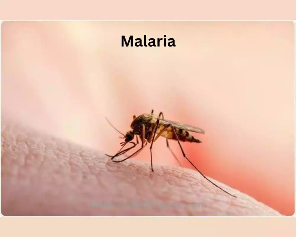 malaria