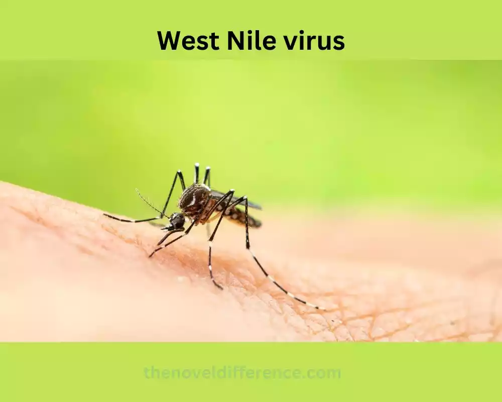 west nile virus